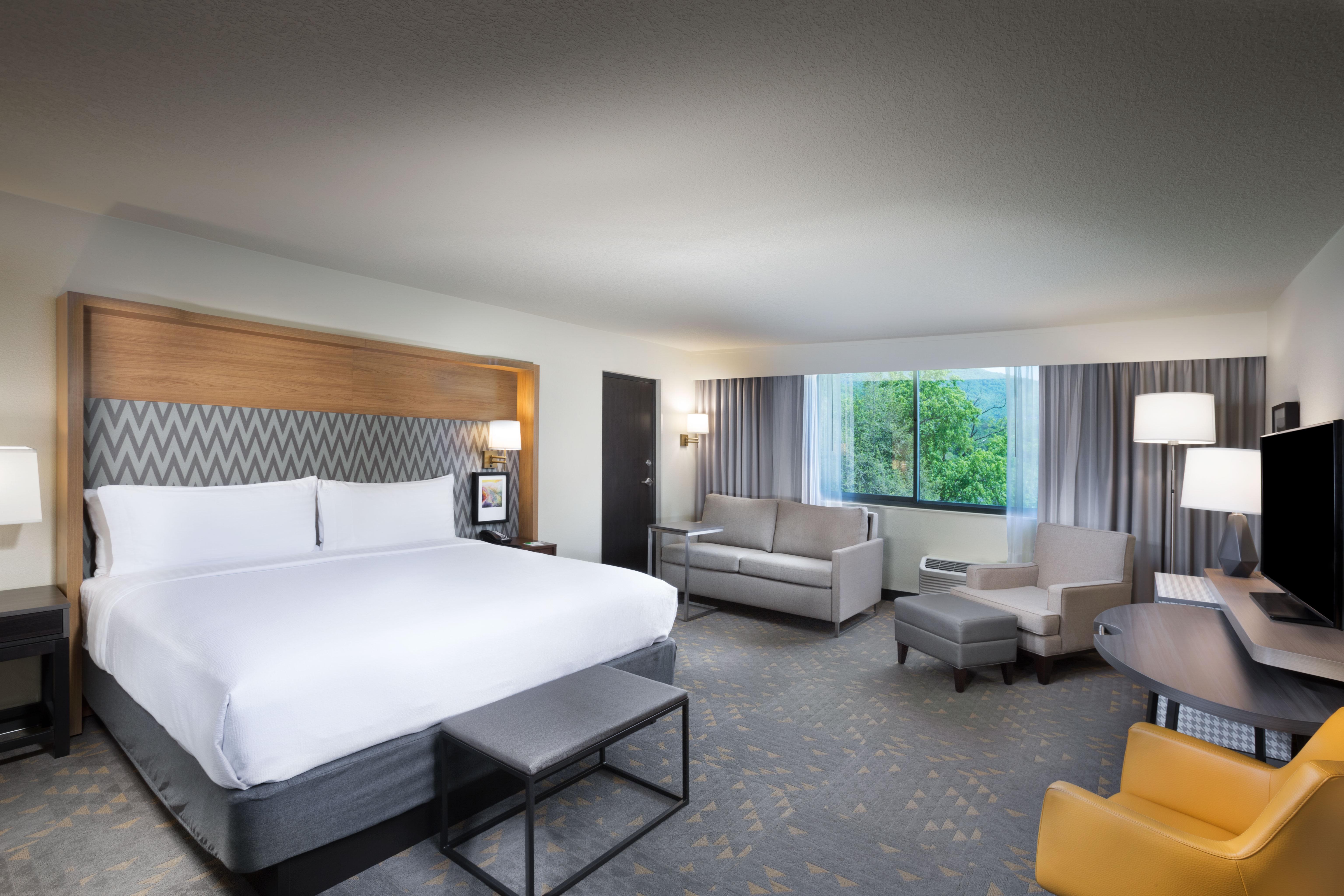 Holiday Inn Asheville East-Blue Ridge Pkwy By Ihg Exterior photo